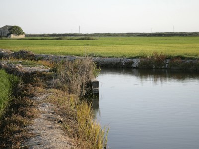 fundacion00-400×300