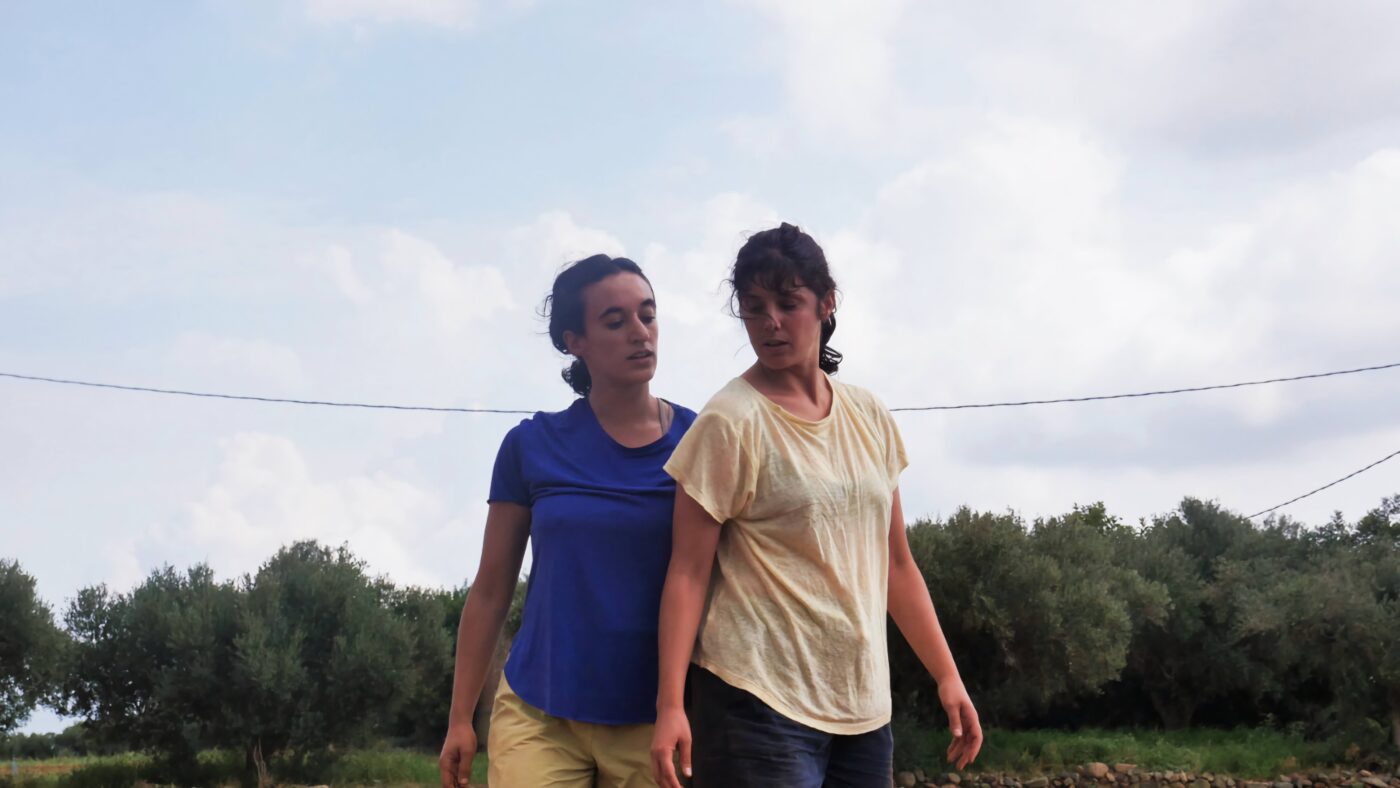 FOTO-LO-QUE-NO-CRECE-EN-EL-SUELO