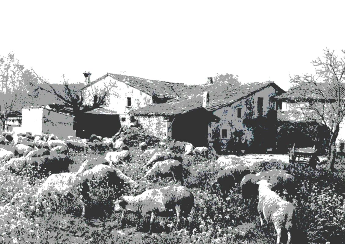 portada_fusta_poster